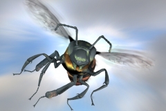 Bienenflug