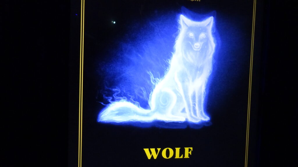 Harry Potter Ausstellung München Patronus